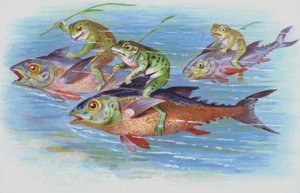 Frøer, der rider på fisk (chromolitho) af European School