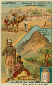 Goldrush-byen Coolgardie, landskabet omkring Kimberley og aboriginerne fra Queensland af European School