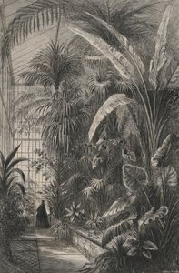 Great Greenhouse of the Museum of Paris (gravering) af European School