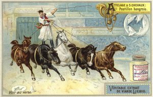 Hungarian postilion  af European School