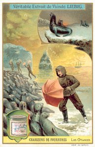 Jagt søløver (chromolitho) af European School