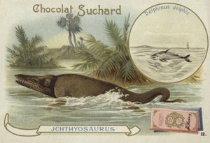 Ichthyosaur og almindelig delfin af European School
