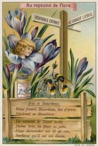 Iris and bumblebees  af European School