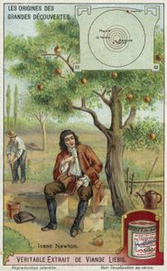 Isaac Newton and gravity  af European School