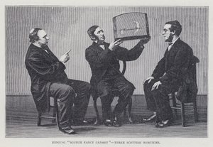 Bedømmelse af "Scotch Fancy Canary", Three Scottish Worthies af European School