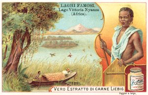 Victoria-søen, Afrika (chromolitho) af European School