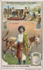 Leather: cattle  af European School
