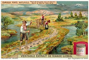 Mosebro i en mose i Oberbayern (chromolitho) af European School