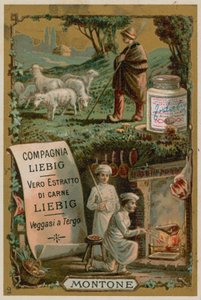 Fårekød af European School