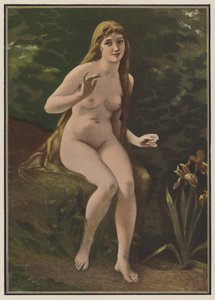 Nattergalens sang (farve litho) af European School