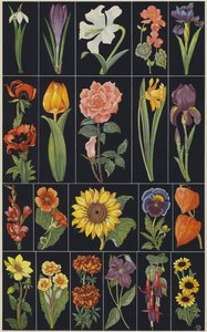 Side fra børnebilledbogen Flowers (farvelitografi) af European School