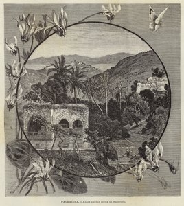 Palæstina, galilæisk landsby nær Nazareth af European School