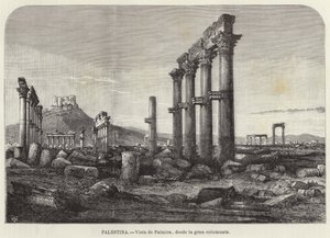 Palæstina, Udsigt over Palmyra, fra den store søjlegang af European School