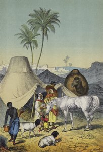 Mennesker, dyr og planter i Nordafrika og Arabien (farve litho) af European School