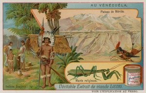 Plateau of Mirida med kolibri og bedduner og Wayu indianere af European School