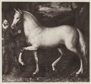 Dronning Elizabeths hest (litho) af European School
