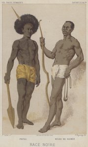 Black Race, Papuan, Black fra Guinea (chromolitho) af European School