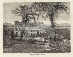 Colosseum fra Palatinen af European School