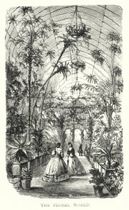 The Floral World (gravering) af European School
