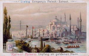 Det Gyldne Horn i Istanbul af European School