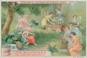 De hjælpsomme sylfer af European School