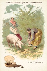 Trøfler (chromolitho) af European School