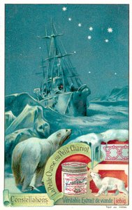 Ursa Minor (chromolitho) af European School