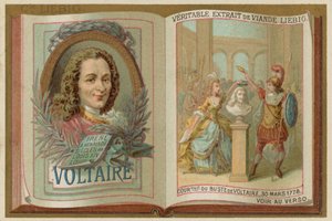 Voltaire af European School