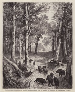 Vildsvin på Lorenzer Berg i Imperial Park i Wien, Østrig (gravering) af European School