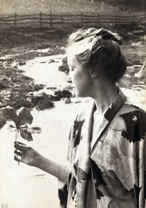maj-æblebladet af Eva Lawrence Watson Schutze