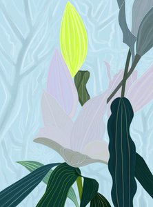 Lily (digital kunst) af Evan Sklar