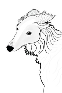 Stregtegning af Silken Windhound (digital kunst) af Evan Sklar