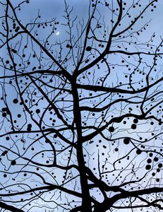 London PlaneTree og Moon, Brooklyn (digital kunst) af Evan Sklar