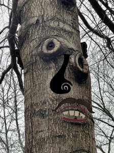 Tree Face , ca. 2020-24 (digital kunst) af Evan Sklar