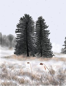 Ægteparret Pines af Evan Sklar