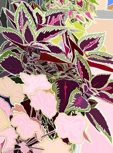 Vindueskasse med Coleus og koralklokker, 2025 (digital kunst)