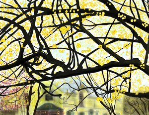 Gult blomstrende træ, Brooklyn (digital kunst)