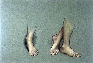 Study of Feet (pastel på papir) af Evelyn De Morgan