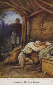 David Livingstone af Evelyn Stuart Hardy