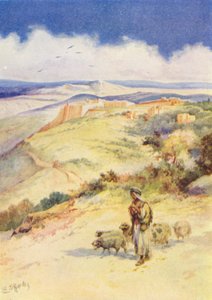 Hyrdedrengen David (farvelitografi) af Evelyn Stuart Hardy