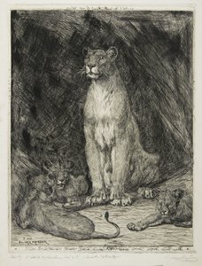 Løvinde siddende og tre unger, 1888 af Evert van Muyden