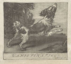 springende hund Canis Venaticus (titel på objekt) af Evert van Sweinen