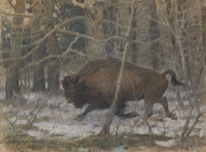 Træbisonen af Evgeny Alexandrovich Tichmenev