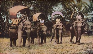 Siam, c1930