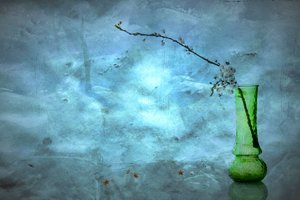 Stille blå blomster af Eyal Amer