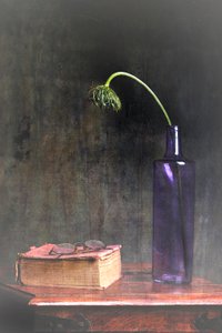 Visnet blomst og bog af Eyal Amer