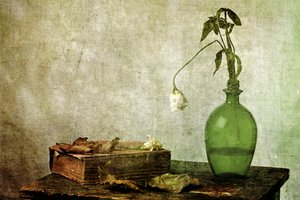 Den visne rose – en gammel bog af Eyal Amer