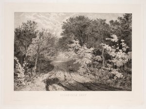 Borrevejle Skov af F. Larsen