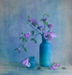 Stilleben med blå magnolia af Fangping Zhou