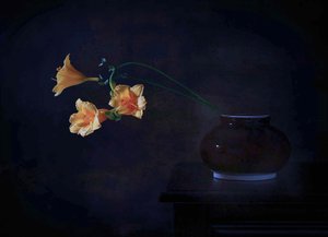 Mørk blomsterglød